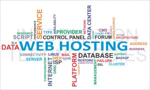 Beginners Guide What Is A Web Hosting
